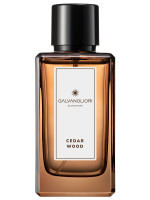 GalvanoLiori Туалетная вода мужская Signature Cedar Wood 100мл