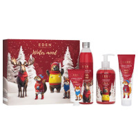 Подарочный набор №4 Winter mood Имбирь и корица (Крем для рук 50мл+Жидкое мыло 245мл+Гель для душа 320мл+Крем для тела 150мл)
